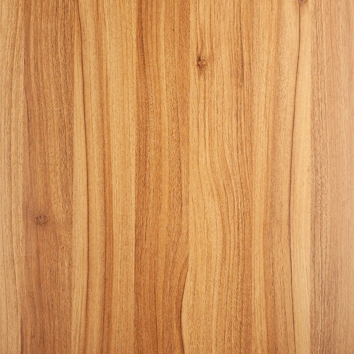 Orex Lion