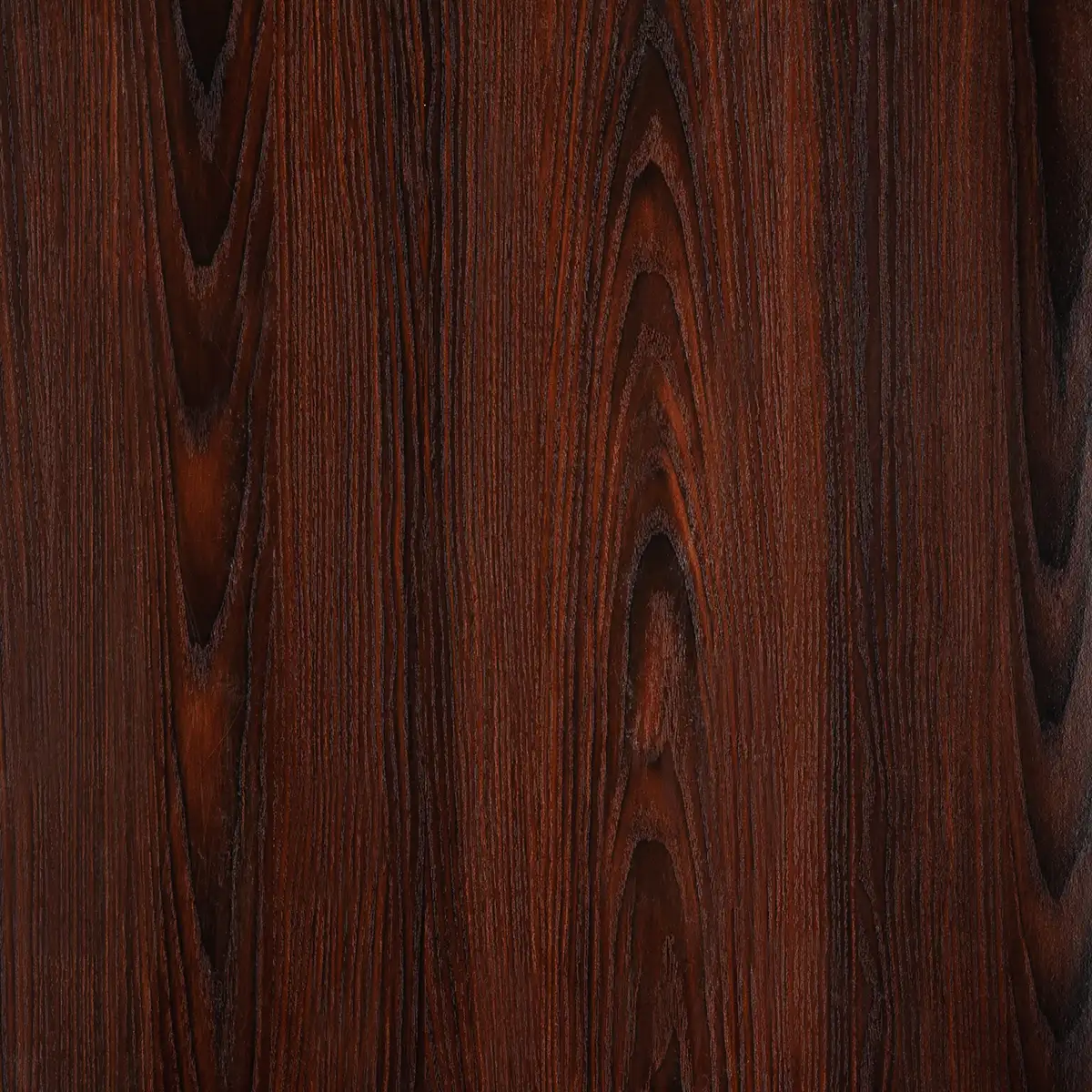 Archa vengi